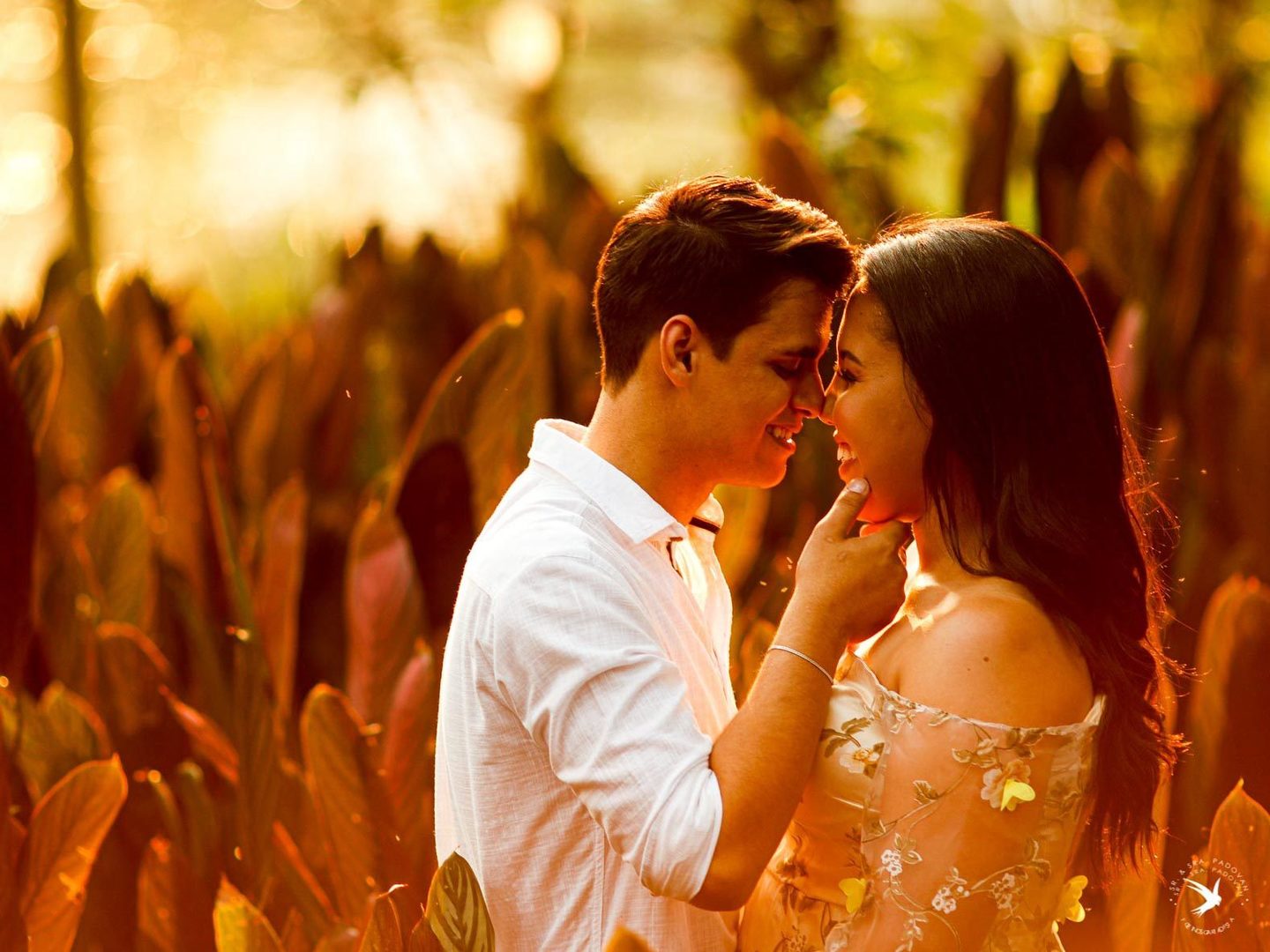 Pre Wedding Gih e Matheus Pre Wedding Gih e Matheus