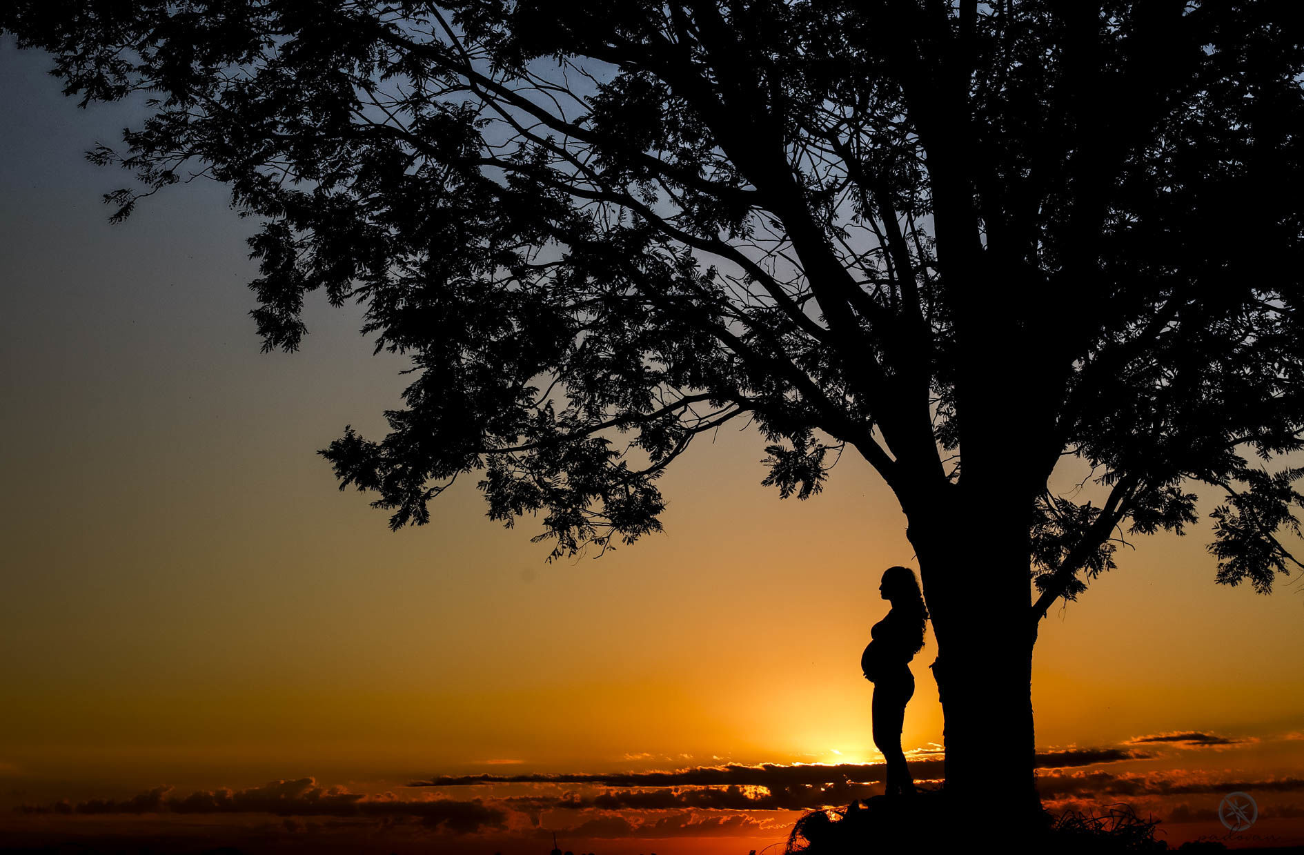 Foto Gestantes e futuras mamães Foto Gestantes e futuras mamães - Imagem 1