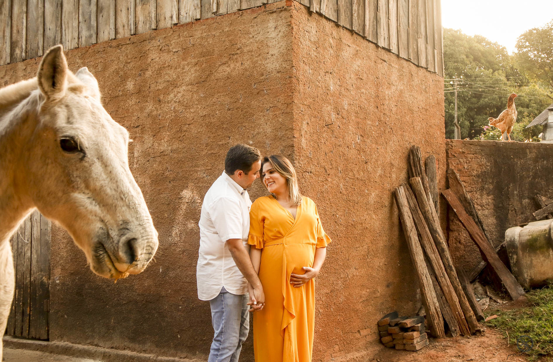 Foto Gestantes e futuras mamães Foto Gestantes e futuras mamães - Imagem 5