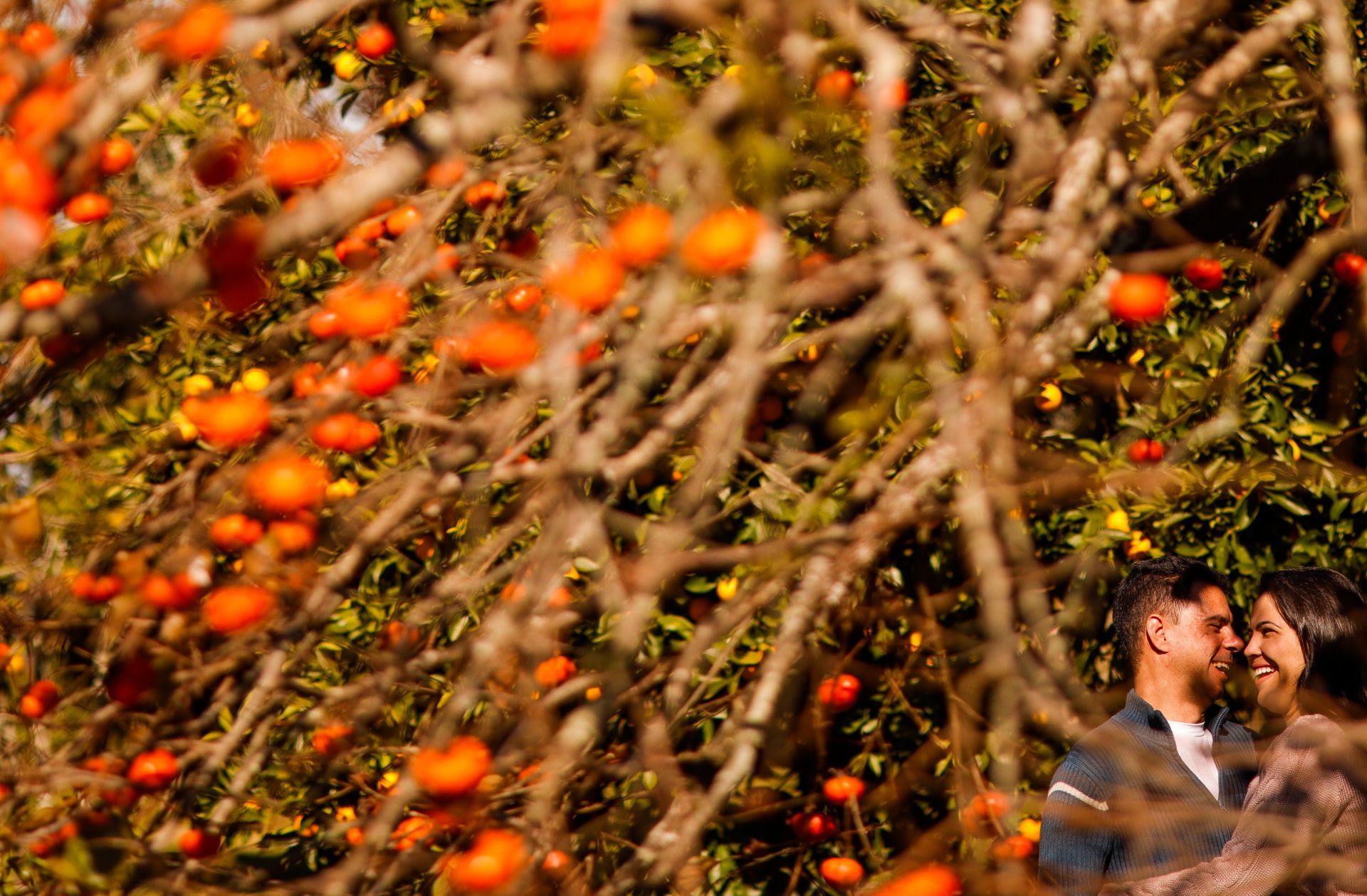 Foto Devo fazer um ensaio Pre Wedding? Foto Devo fazer um ensaio Pre Wedding? - Imagem 13